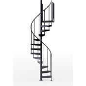 Global Industrial Condor 42"H Platform 2 Rails Spiral Stair Kit, 42"Dia, 12-3/5'H, Blk