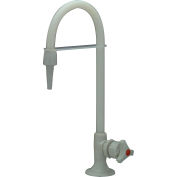 Zurn Z82900-WM - Wall Mounted Single Lab Faucet For Dw/Di/Ro Water