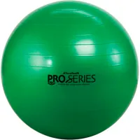 Thera Band SCP Pro Series Inflatable Exercise Ball 65 cm 26