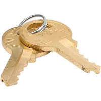 Master Lock 2217 Replacement Keys - 2 Key Set With Free Lip Balm
