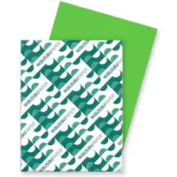 Astrobrights Cardstock Paper, 65 lbs, 8.5 x 11, Terra Green, 250