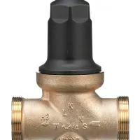 Zurn® Wilkins NR3XL 1-1/4