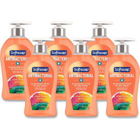 Softsoap® Antibacterial Hand Soap Crisp Clean 11.25 oz. Pump Bottle 6/Case
