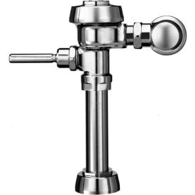 Sloan Valve 3010100 Royal® Model 110 Water Saver Flushometer image.