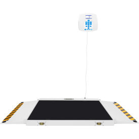Health O Meter 2700KL Digital Wheelchair Dual Ramp Scale 1000 x 0.2lb XL Platform Remote Display