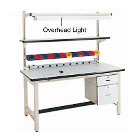 Pro Line OLF60-H11 Pro-Line Overhead Light For 60"W Workbench, 60"W, Tan image.