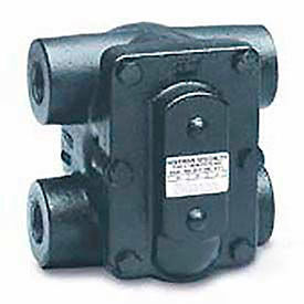 Hoffman Specialty 404200 F&T Steam Trap FT015H .75 In. H Pattern image.