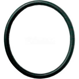 Bissell Commercial BGOR-23 Replacement Belt For Bissell Commercial Vacuums image.