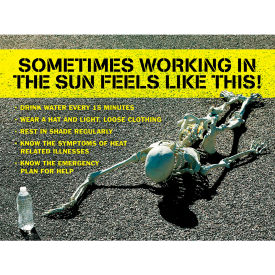 ACCUFORM MANUFACTURING SP125178 Accuform SP125178 Safety Poster, SOMETIMES WORKING IN THE SUN FEELS LIKE THIS, 17"H x 22"W, Paper image.