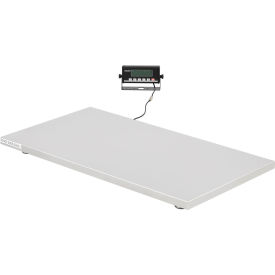 Global Industrial 412581 Global Industrial™ Stainless Steel Veterinary Scale, 1,000 Lb Capacity, 42"L x 21-21/32"W image.