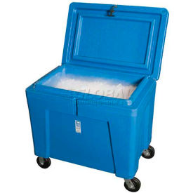 Rotonics Manufacturing Inc 1930403M93001 Polar Chest Dry Ice Storage Container with Lid and Casters PB11HLC - 42"L x 29"W x 39"H image.