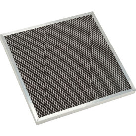 Global Industrial 653661 Global Industrial® Replacement Filter, 12"W x 12"H x 3/4"D, 2/Pack image.