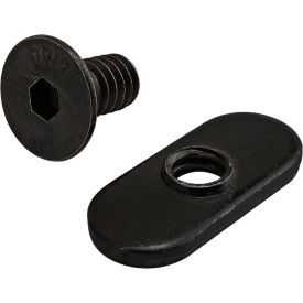 Bolt Assembly 1/4-20 x .500", FHSCS and Slide-In Economy T-Nut, Centered Thread, Black view 2