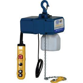 1/4 Ton Variable Speed Electric Chain Hoist 13' Lift 0-49 FPM 220V