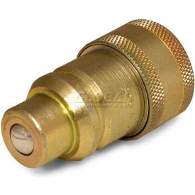 Apache Hose & Belting Co. Inc 39041605 Apache Hydraulic Quick Coupler 39041605, ISO Male Tip To IH Female Body image.