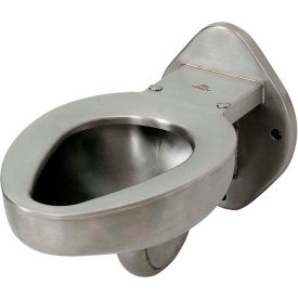 Acorn Engineering Co. R2100-W-1 Acorn R2100-W-1 Blowout Jet Wall Mounted Toilet W/Back Spud, Stainless Steel Finish image.