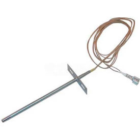Temperature Probe for Southbend view 2