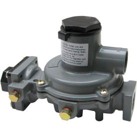 Gas Regulator view 2