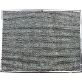 Allpoints 8010286 Air Filter For Manitowoc Machines