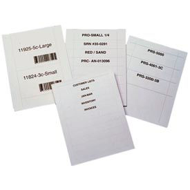 Aigner Index Inc LI11610 Aigner Laser Insert Sheets, Letter Size, 1" x 6" Size, Pack of 500 image.