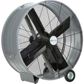 Airmaster Fan Co. 60019 Airmaster Fan 48" Portable Belt Drive Mancooler® 60019 1 HP 17173 CFM image.