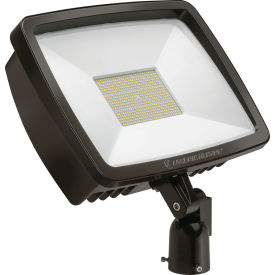 Lithonia Lighting TFX4 LED Floodlight W/ Tenon Slipfitter Mount, 4000K, Brown