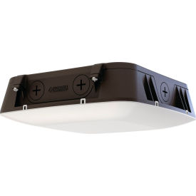 Lithonia Lighting® CNY LED Adjustable Lumen Output Canopy 30K/40K/50K 120-347V Dark Bronze 