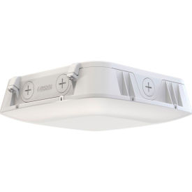 Lithonia Lighting® CNY LED Adjustable Lumen Output Canopy 30K/40K/50K 120-347V White 