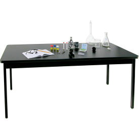 Allied 802454BABBV Allied Plastics Science Table - Chemical Resistant Top - Steel Frame 24x54 image.