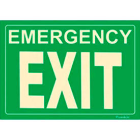 American Permalight Inc 600083 Photoluminescent Emergency Exit Peel-And-Stick Self-Adhesive Sign image.