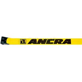 Ancra International 41660-10-30 Ancra® 41660-10-30 3" x 30 Winch Strap with 41766-18 Flat Hook image.