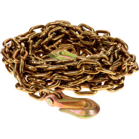 ANCRA Cargo® Load Binder Chain 3/8" x 20 with Clevis Hooks 6600 LBS WLL Gold 