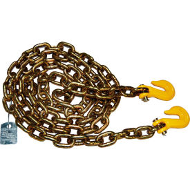 ANCRA Cargo® Chain Assemblies 3/8" x 10 C/W G80 Hook Gold 