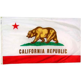 Annin & Co 140470 4X6 Ft. 100 Nylon California State Flag image.