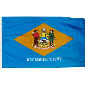Annin & Co 140860 3X5 Ft. 100 Nylon Delaware State Flag image.