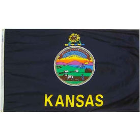 Annin & Co 141860 3X5 Ft. 100 Nylon Kansas State Flag image.