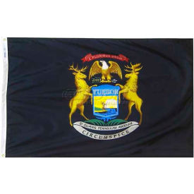 Annin & Co 142670 4X6 Ft. 100 Nylon Michigan State Flag image.