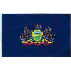Annin & Co 144660 3X5 Ft. 100 Nylon Pennsylvania State Flag image.