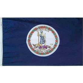 Annin & Co 145670 4X6 Ft. 100 Nylon Virginia State Flag image.