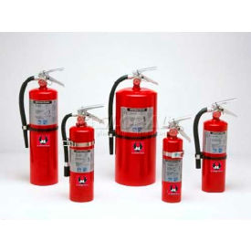 Fire Extinguisher, 2.5 Lbs Multi-Purpose Dry Chemical, Cosmic 2 -1/2 E, Mark Bracket