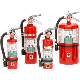 Fire Extinguisher, 5 Lb Carbon Dioxide, Sentinel 5