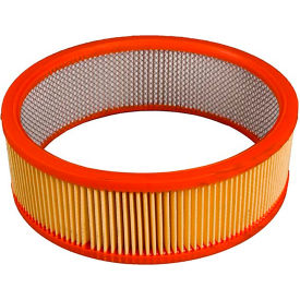 Antimicrobial Vacuum Secondary HEPA Filter
