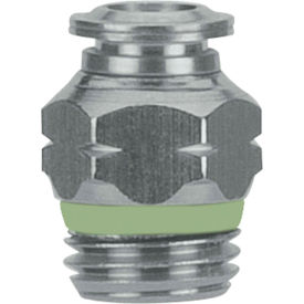 Alpha Technologies Llc 60000-6-1/8 AIGNEP Straight Male Connector, 60000-6-1/8, 6mm Tube x 1/8" BSPT Thread, Stainless Steel image.
