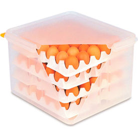RCR ARABRANDS INC 378 Araven Egg Container W/ Lid & 8 Trays, 14"L x 12-3/4"W x 7-7/8"H, Translucent image.