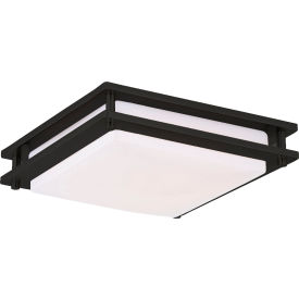 Amax® 16" LED Flush Mount Fixture 25W 1750 Lumens 120V Black 