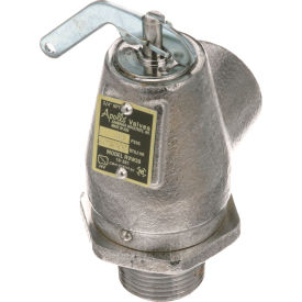 Allpoints Z011008 Safety Valve, 3/4" NPT, For Groen, 011008 image.