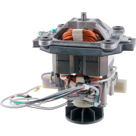 Allpoints 15287 Allpoints 2121057 Motor Assembly (120V, 3 HP) image.