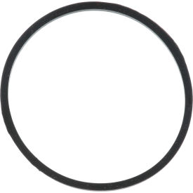 Allpoints 24268 Allpoints 2221419 Gasket, Lock Nut For Waring Products image.