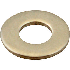 Allpoints 7050600 Allpoints 7050600 Washer, Flat/Ss (100) image.