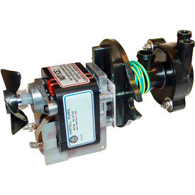 Allpoints A30625-001 Allpoints 68-1209 Ice Machine Pump - 120V image.